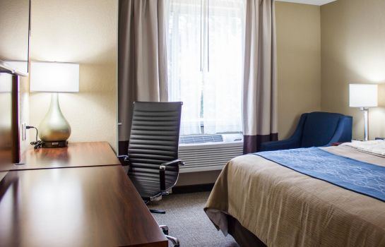 Comfort Inn Jamaica In New York Great Prices At Hotel Info