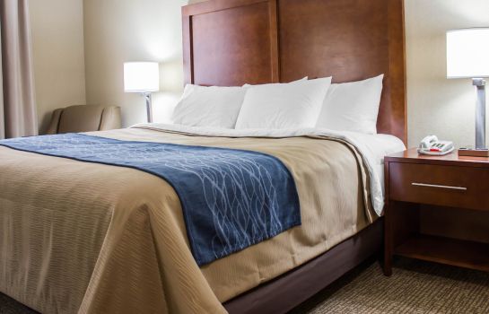 Comfort Inn Jamaica In New York Great Prices At Hotel Info
