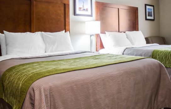 Comfort Inn Jamaica In New York Great Prices At Hotel Info