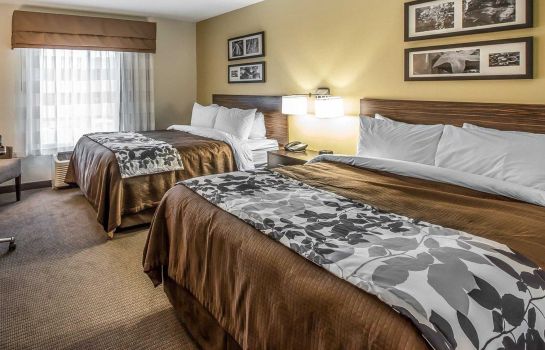Room Sleep Inn and Suites Jasper I-22