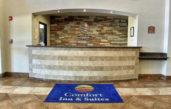 Hall Comfort Inn and Suites Lawrence - Univer