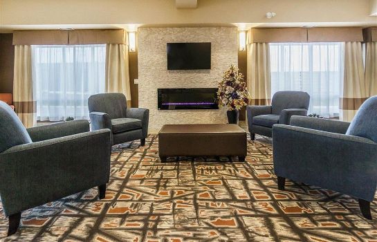 Hotelhal Comfort Inn and Suites Edmonton Internat