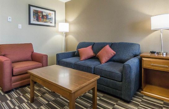 Kamers Comfort Inn and Suites Edmonton Internat