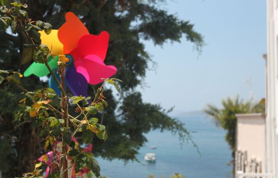 Capaci Hotel Capaci Otel Bodrum Great Prices At Hotel Info