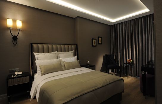 Le Petit Palace Hotel Special Class Istanbul Great Prices At Hotel Info