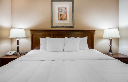 Room Quality Inn and Suites Dawsonville