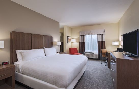 Suite Holiday Inn Express & Suites AUSTIN NW - FOUR POINTS