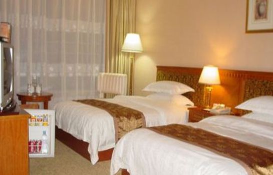 Pokój dwuosobowy (standard) Aisailiya International Hotel
