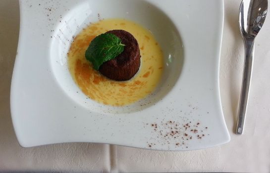 Hotel Des Lacs Viry Chatillon Hotel Info