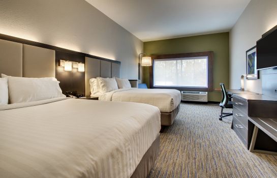 Pokój Holiday Inn Express & Suites CHARLESTON NE MT PLEASANT US17