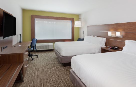 Zimmer Holiday Inn Express & Suites CARTERSVILLE