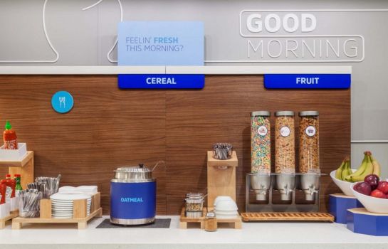 Hotel Holiday Inn Express Suites Tampa North Wesley Chapel