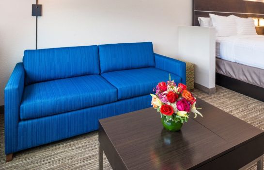 Zimmer Holiday Inn Express & Suites TAMPA NORTH - WESLEY CHAPEL