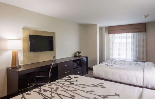 Room Sleep Inn and Suites Ingleside
