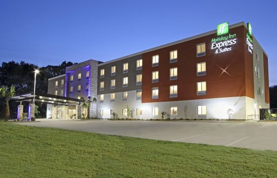 Außenansicht Holiday Inn Express & Suites COLUMBUS NORTH