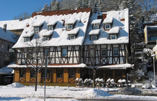 Hotel Alt Ebingen in Albstadt - Truchtelfingen - HOTEL DE