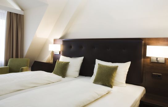Ringhotel Nassau-Oranien Hadamar     HOTEL