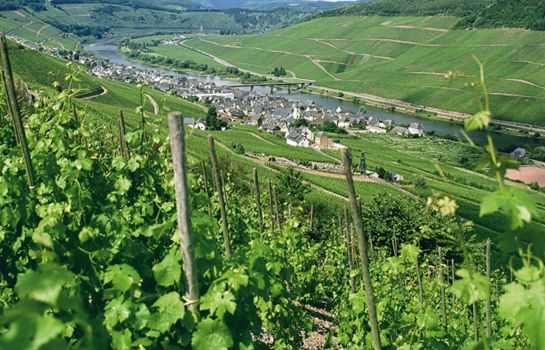 WeinBergHotel Nalbach Reil     HOTEL