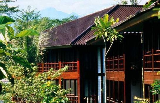 Rimba Papua Hotel - Western New Guinea – Great prices at HOTEL INFO