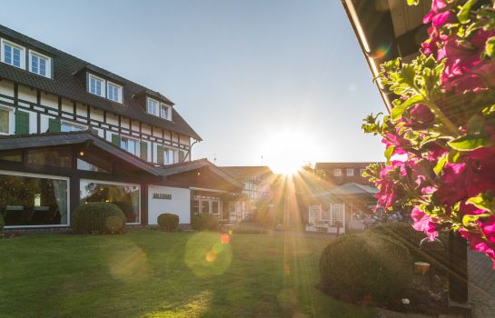 Hotels Near Alter Mark