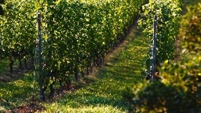 Hotel Domaine De Chateauvieux 4 Hrs Star Hotel In Satigny - 