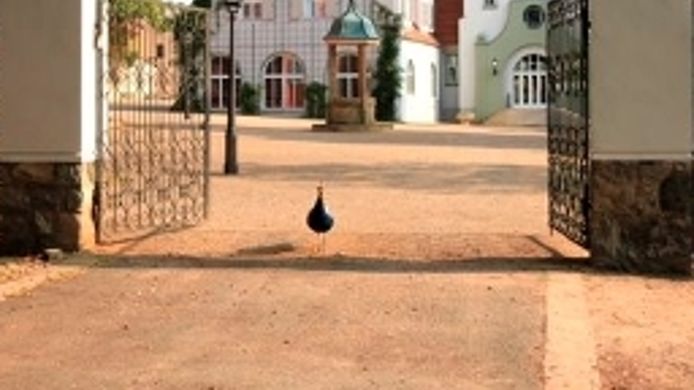 Hotel Schloss Gut Liebenberg Löwenberger Land 4 Hrs