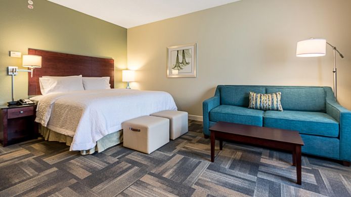 Hampton Inn Suites Orlando South Lake Buena Vista