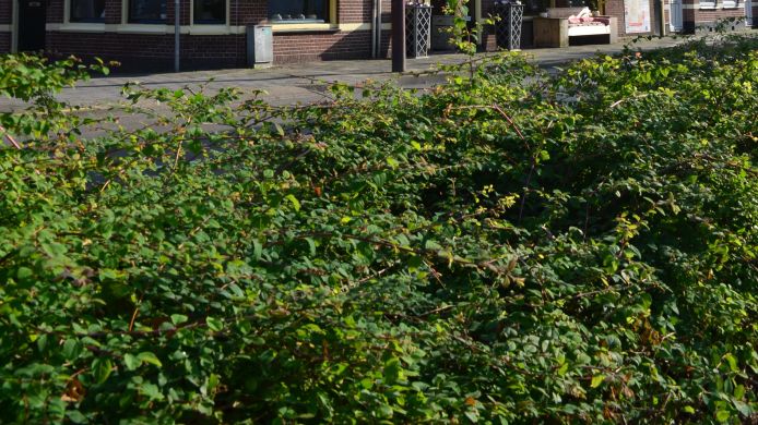 Hotel Stad en Land Alkmaar - 3 Sterne Hotel: Bei HRS mit ...