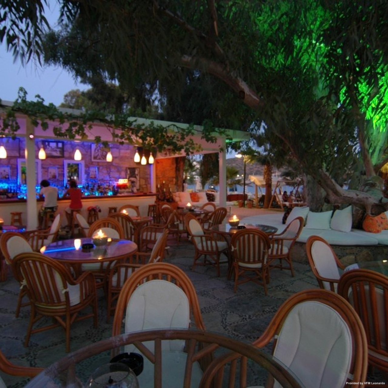 Hotel Okaliptus 4 Hrs Star Hotel In Bodrum Mugla