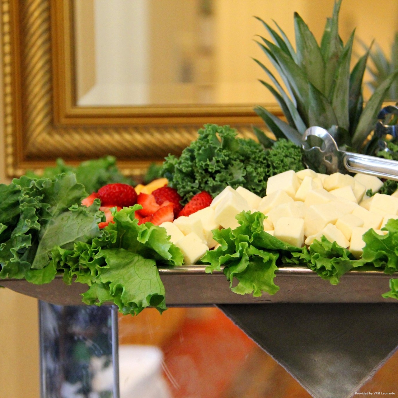 Hilton Garden Inn Tampa North 3 Hrs Star Hotel In Temple Terrace