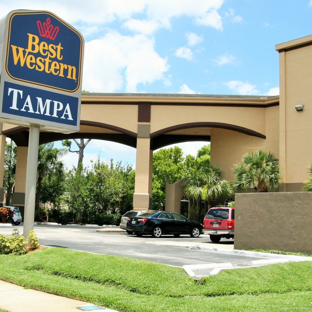 Hotel Best Western Tampa United States Of America At Hrs With Free Services