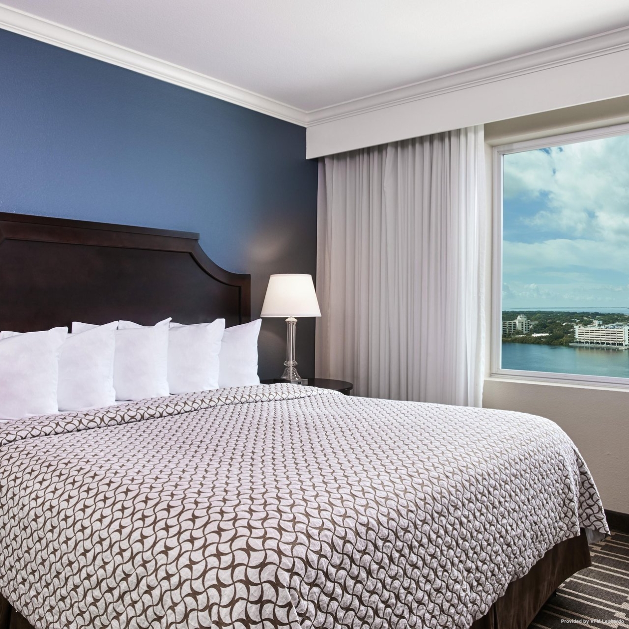 Hotel Embassy Suites By Hilton Tampa Downtown Convention Center