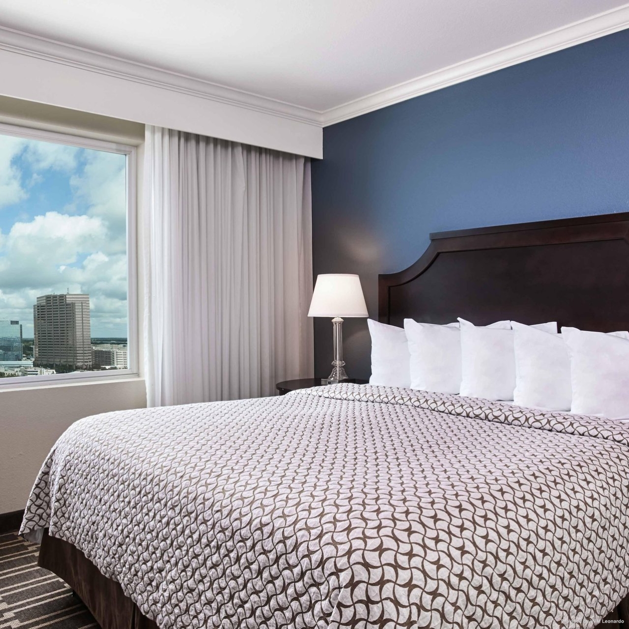 Hotel Embassy Suites By Hilton Tampa Downtown Convention Center