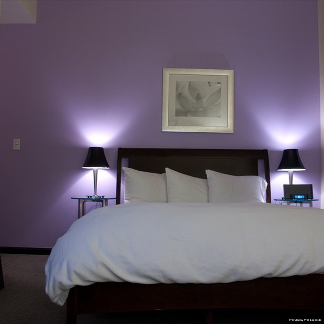 jet hotel denver at hrs with free services