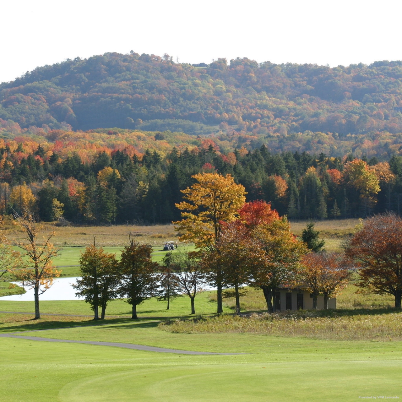 Get Wallpaper Hotel Canaan Valley Resort And Conference Cent 3 Hrs Star Hotel For Android