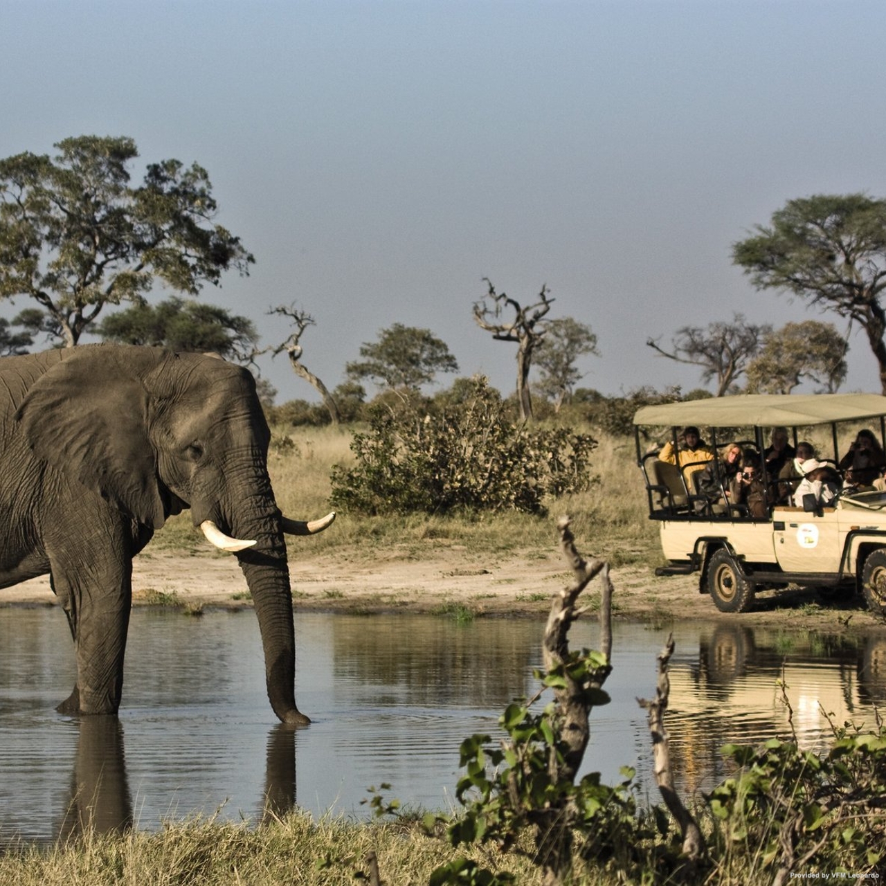 Belmond Safaris 