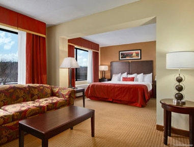 Hotel Wingate by Wyndham Chantilly / Dulles Airport