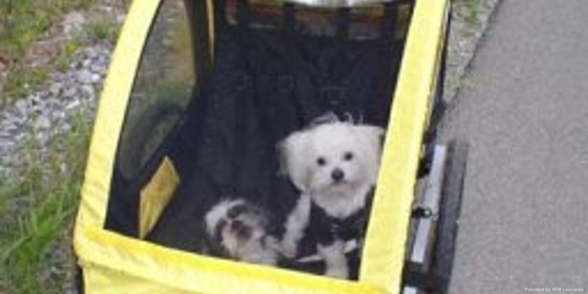 BERKELEY SPRINGS COTTAGE RENTALS (Paw Paw)